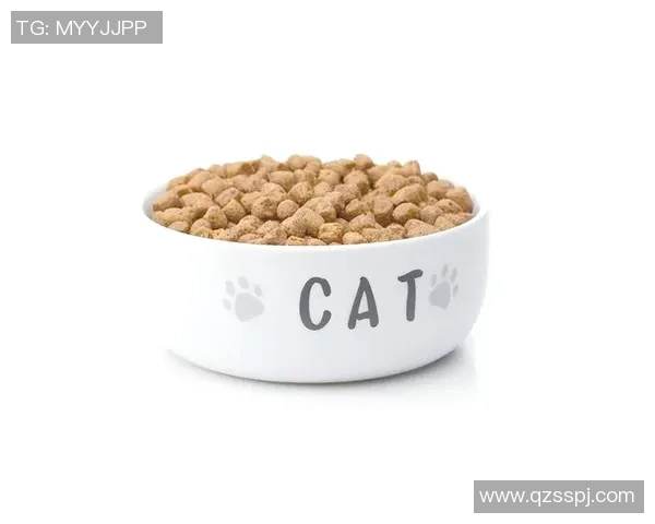 如何从零开始成为足球球星培养技能和心态的全面指南